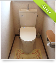 example_toilet01_a