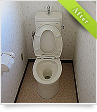 example_toilet02_au