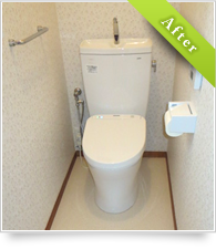 example_toilet03_a
